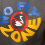 Rolando Flamesta Profile Picture