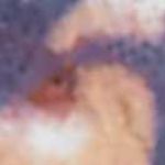 Padlock Profile Picture