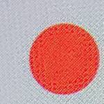Hina Yoshida Profile Picture