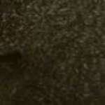 Khalid Harbi Profile Picture