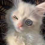 Assti Profile Picture