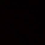 Anvl Profile Picture