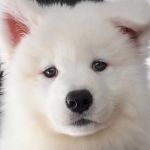 Lillian Profile Picture