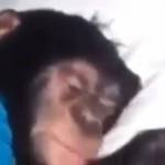 Killion Stamps Profile Picture