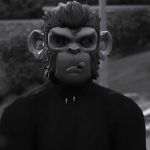 ᴅxʀᴋ ᴍᴏɴᴋᴇʏ Profile Picture