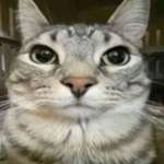 sevenfobutta Profile Picture