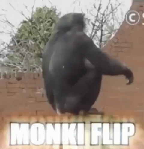 Comment image