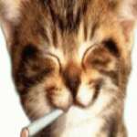 Cuauh Yepes Profile Picture