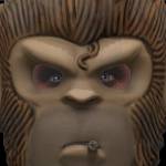 Monkey Profile Picture