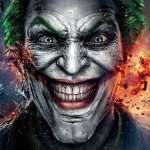 Jesse Whitaker Profile Picture