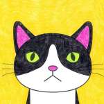 Judy Jin Profile Picture