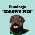 Fundacja Zdrowy Pies Profile Picture