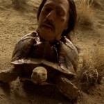 Tortuga Profile Picture