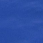 Adeline Collins Profile Picture