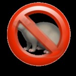 Tremain Cailloux Profile Picture