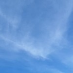 Delia Harper Profile Picture