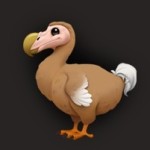 BIG DODO 500 profile picture