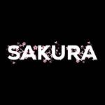 SAKURA profile picture
