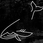 The Blue Whale profile picture