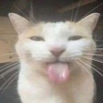 Huj Wielki Profile Picture