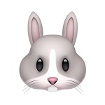 Santino Chicote Profile Picture