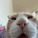 Lilia Burns Profile Picture