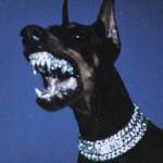 Karver Rakkan Profile Picture