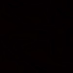 Nina Belyakov Profile Picture