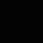 Nash Profile Picture