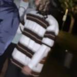 lil mouse Profile Picture