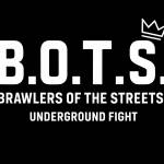 Brawlers Of The Streets profile picture