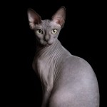 Theoris Profile Picture